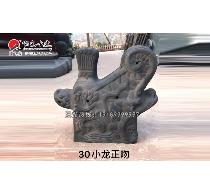 30小龙正吻